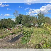 Дом 37,5 м² на участке 12 сот.