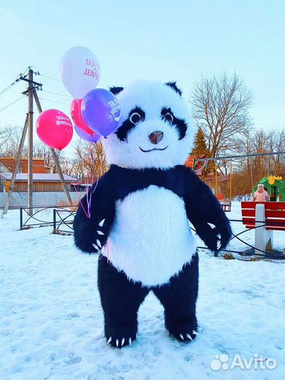 Экспресс поздравление