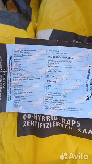 Семена озимого рапса Мерседес