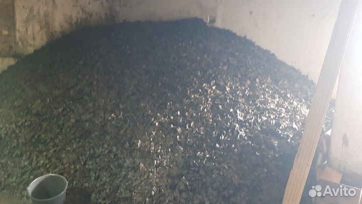 Масло подсолнечное холодного отжима