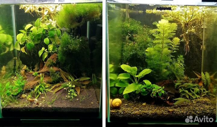 Аквариум Aquael (кубики 20 и 30 литров)