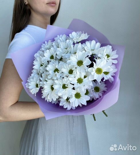 Хризантема