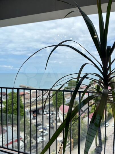 Квартира-студия, 24 м², 11/14 эт.