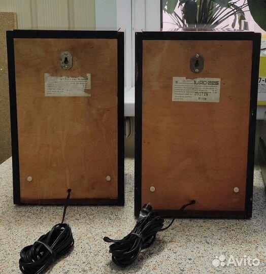 Колонки 10ас-225, пара