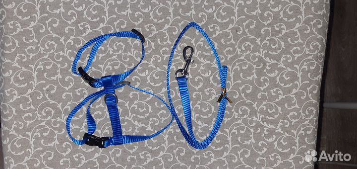 Шлейка для маленькой собаки или кошки новое