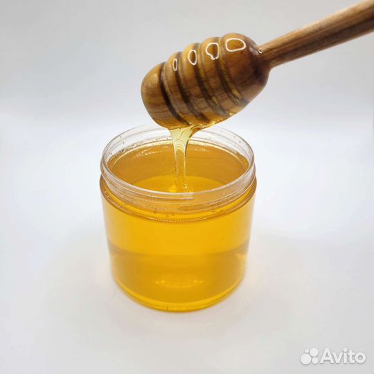 Мед разнотравье 2023