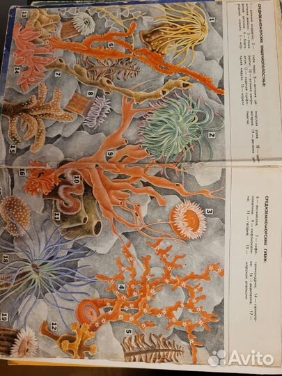 4 книги по биологии 60х-70х. Раритет