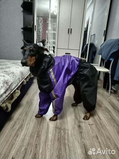 Дождевик для собаки