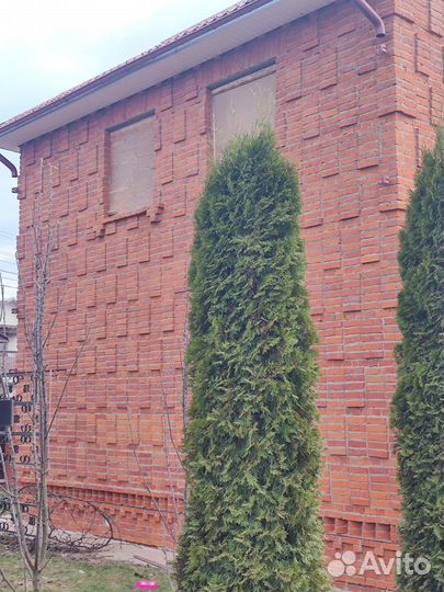 Пескоструйная обработка/ Аренда парогенератора