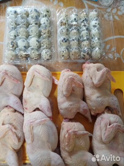 Мясо перепелов, перепела, яйцо перепелиное