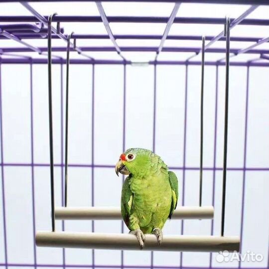 Качели для попугая