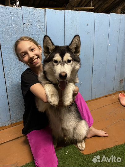 Ищем подругу для здоровья