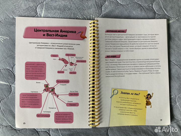 Карта мира детская