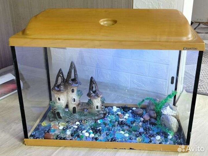 Аквариум