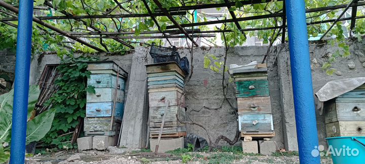 Улей для пчел бу