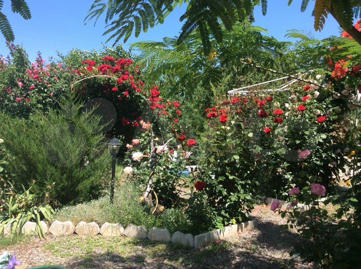 Дом 150 м² на участке 5 сот.