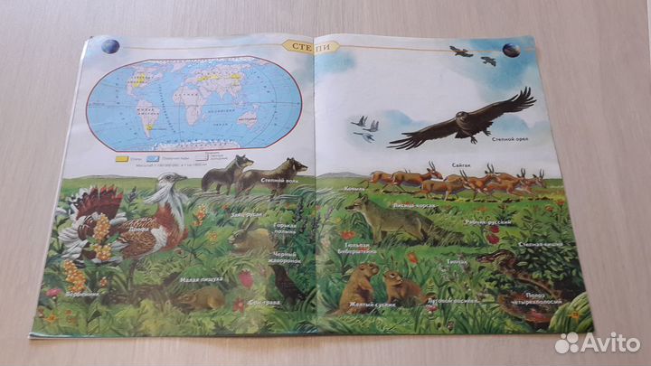 Атлас и контурные карты по природоведению 5 класс