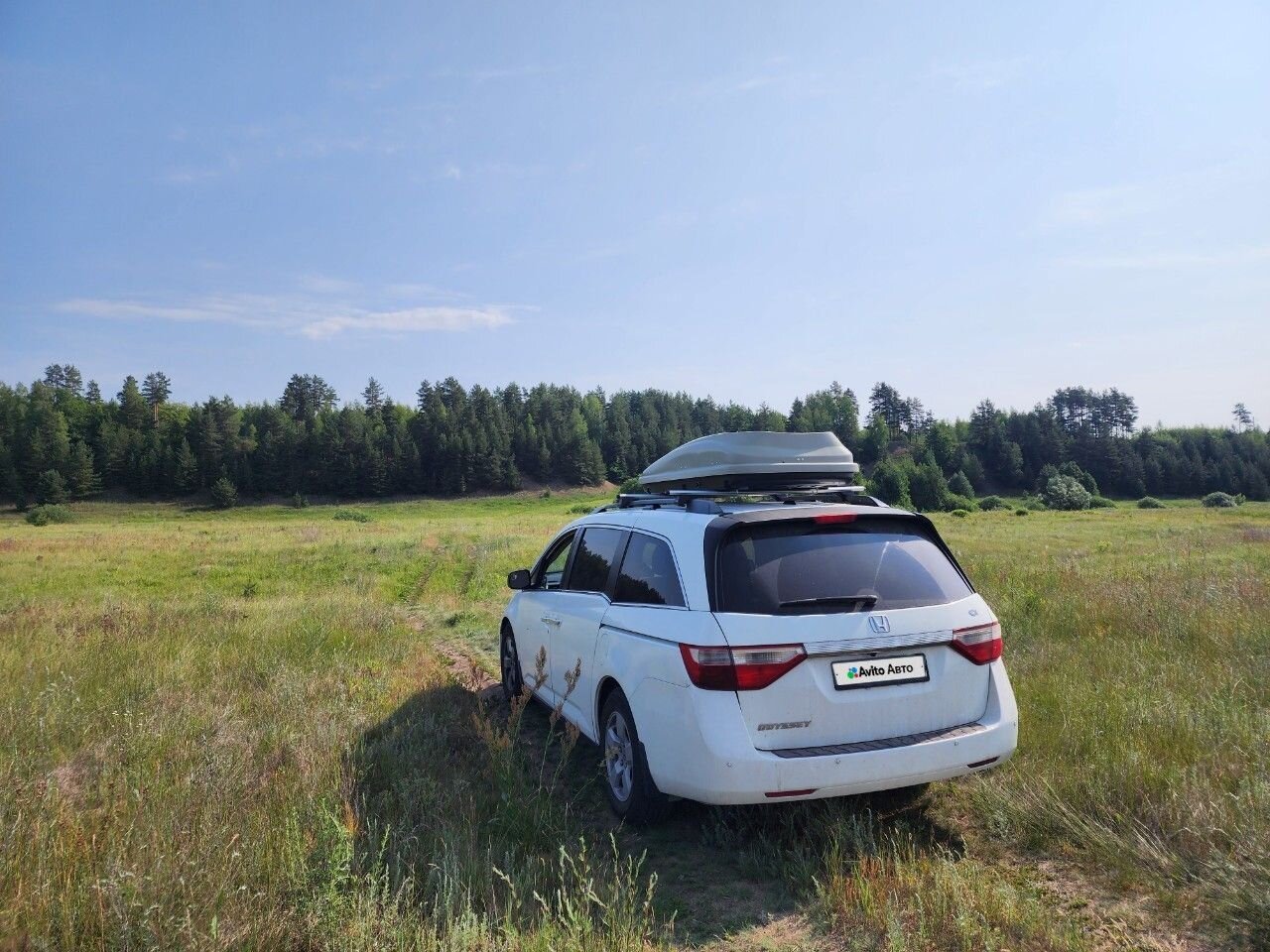 Honda Odyssey (North America): фото из отзыва