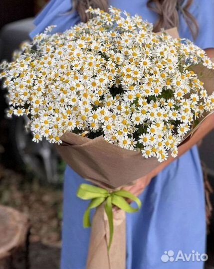 Ромашки Пионы Розы Доставка