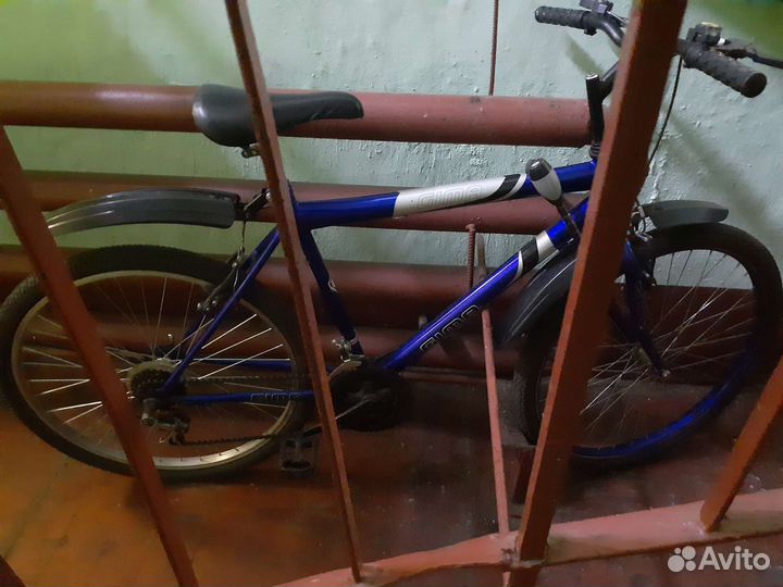 Велосепид отлычно