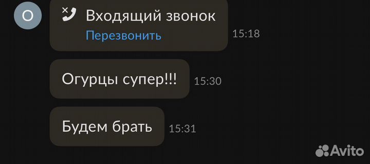 Грузди маринованые, деревенские