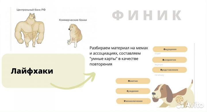 Репетитор по обществознанию 10-11 класс