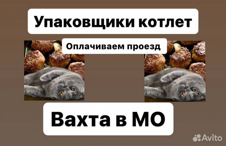 Купим билет.Упаковщики котлет вахтой