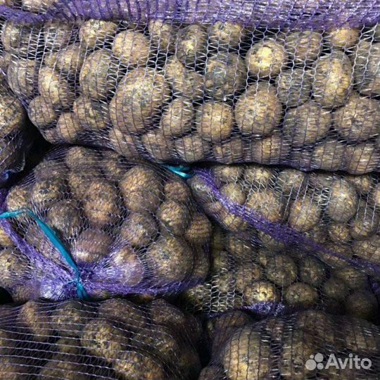 Картофель фермерский