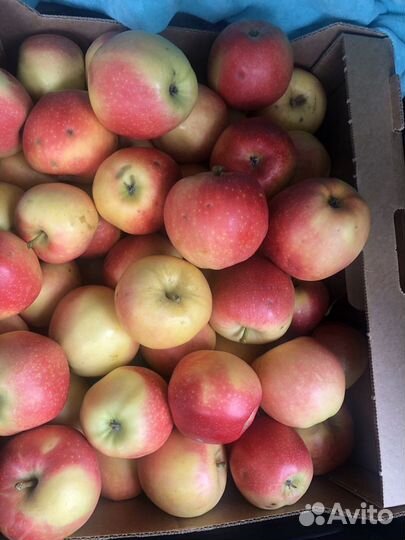 Яблоки Пастила Чипсы