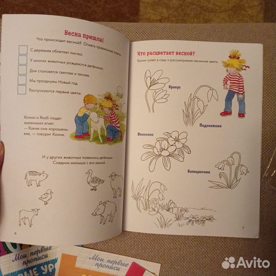 Книги, прописи, раскраски