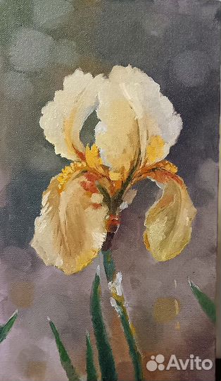 Картина с ирисом масло хост 35*20