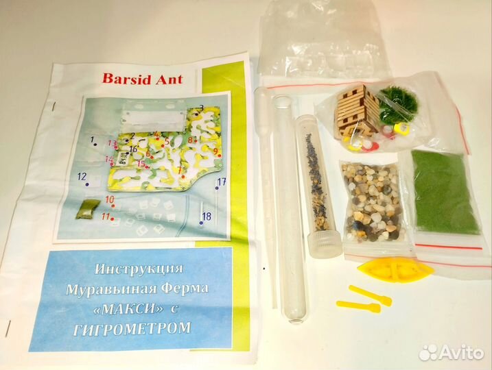 Муравьиная ферма с муравьями новая