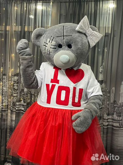 Экспресс поздравление, живая открытка,Мишка