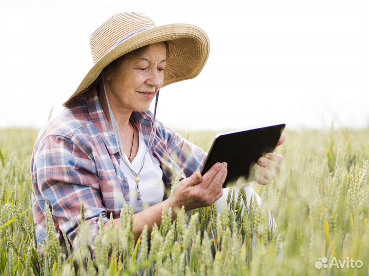 Спутниковое тв интернет