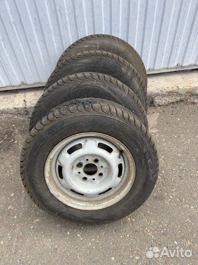 GT Radial Champiro BXT Pro 175/70 R13