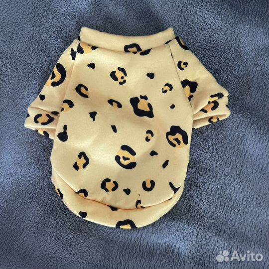 Одежда для маленьких пород собак