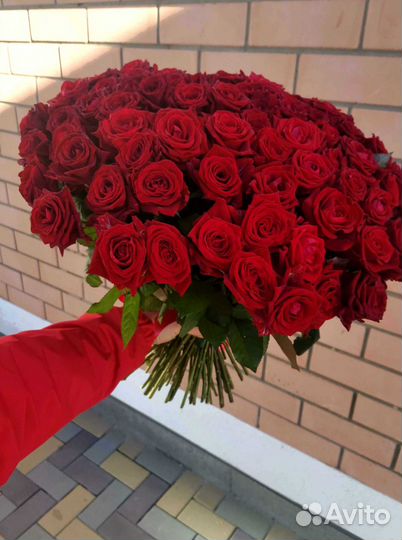 Розы с доставкой, букет роз 101 шт