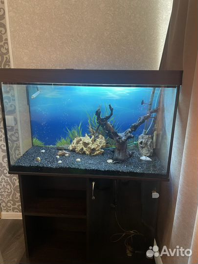 Аквариум