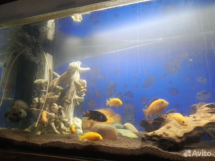 Аквариум с тумбой