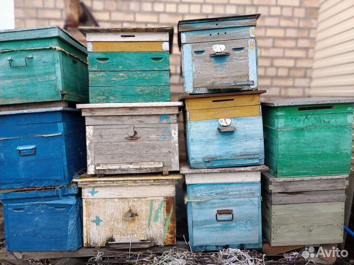 Пчеловодства