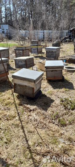 Продам ульи для пчел дадан