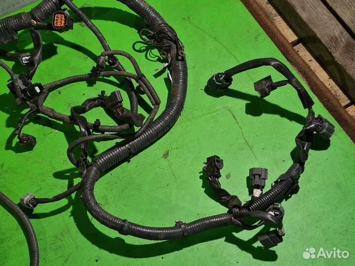 Проводка (коса) моторная Infiniti FX (S50) 2006 г