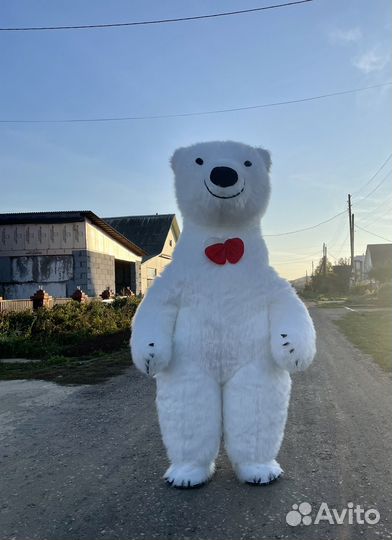 Поздравление огромного белого Мишки