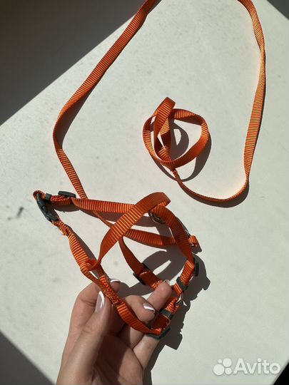 Шлейка для кошек или мелких собак