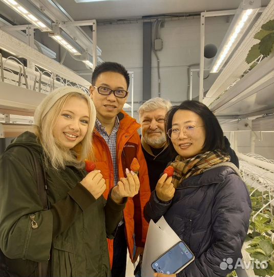 English синхронный перевод/тренинги-носитель (cша)