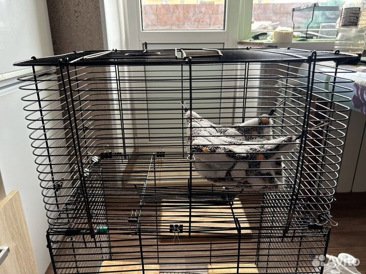 Клетка для грызунов крыс бу