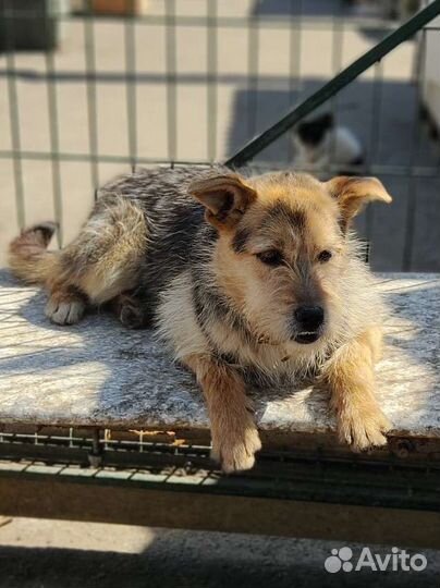 Звоночек в частный дом