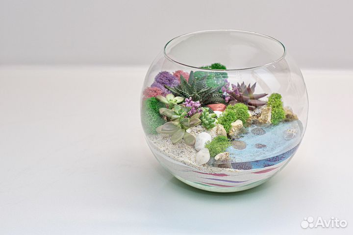 Флорариум из суккулентов