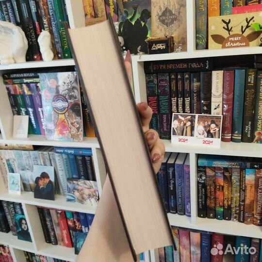 Руби Диксон - Варвары ледяной планеты