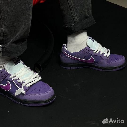 Кроссовки Nike sb Dunk low purple lobster